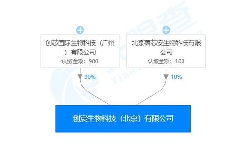 創(chuàng)宸生物獲創(chuàng)芯國際戰(zhàn)略加持，以類器官技術(shù)引領(lǐng)個體化醫(yī)療新紀元