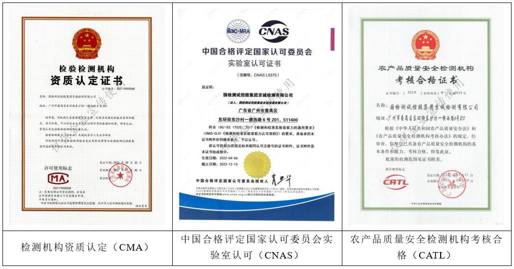 中國國檢測試控股集團 引領環保技術咨詢與服務的卓越獲證單位